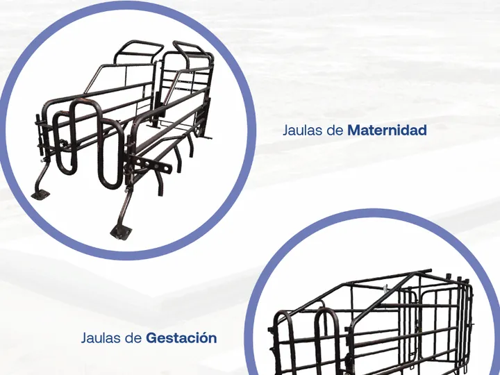 Jaulas de maternidad y gestación - página 50 del catálogo